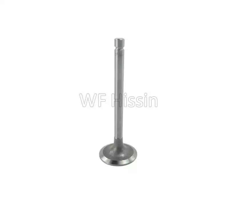 Intake Valve Yuchai